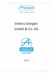 Auerswald Advanced Partner